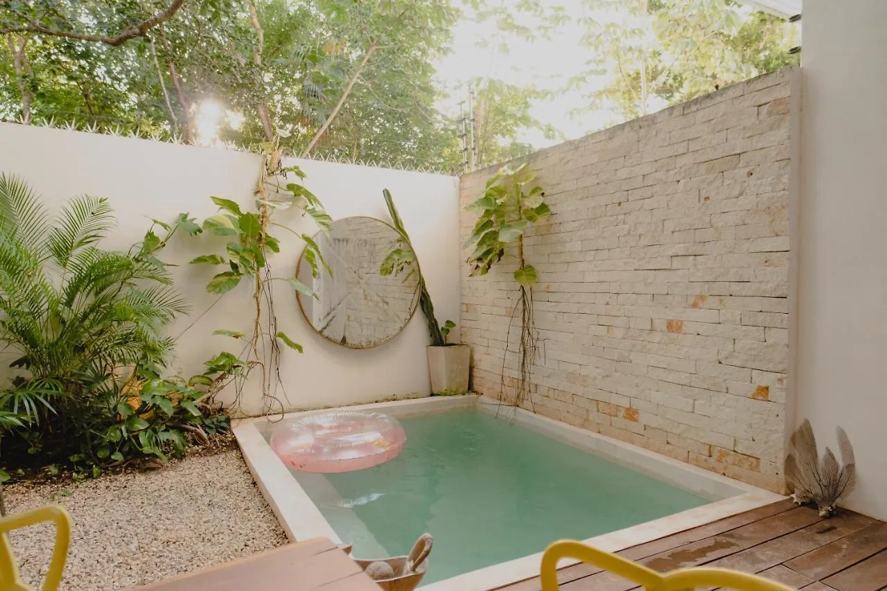 Villa Ujo 100 Mb Wifi 2 Private Pools Tulum Mexico