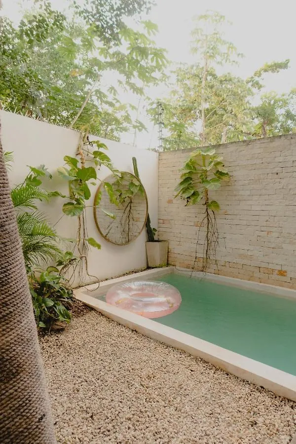 Villa Ujo 100 Mb Wifi 2 Private Pools Tulum 0*,