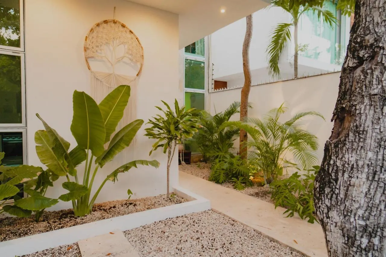 Villa Ujo 100 Mb Wifi 2 Private Pools Tulum Mexico