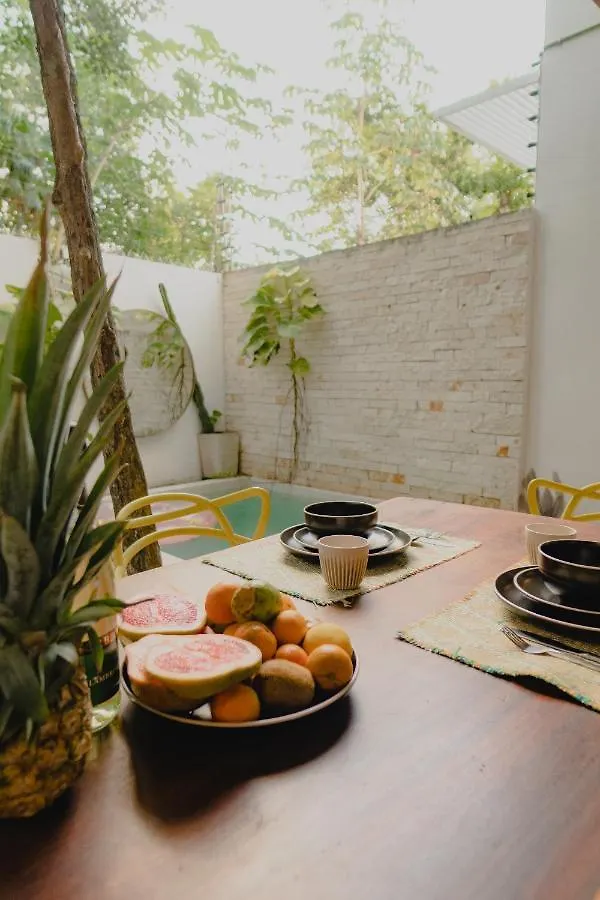 Villa Ujo 100 Mb Wifi 2 Private Pools Tulum 0*,  Mexico