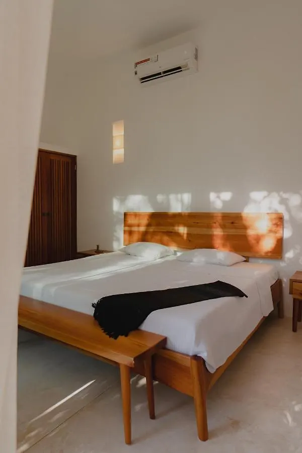 Villa Ujo 100 Mb Wifi 2 Private Pools Tulum