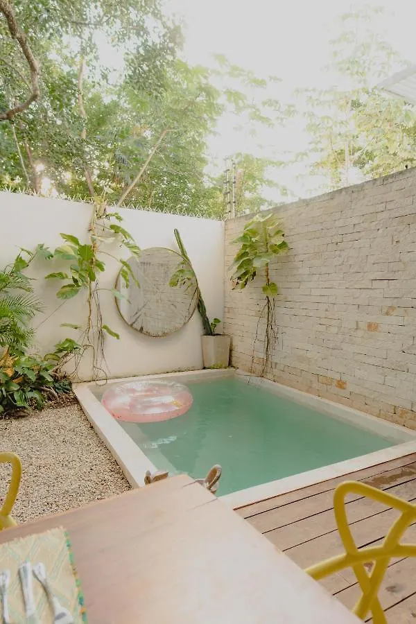 Villa Ujo 100 Mb Wifi 2 Private Pools Tulum