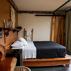 Bufo Alvarius Hotell