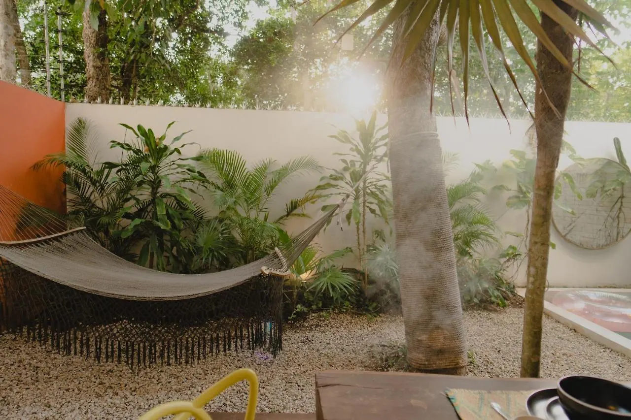 Villa Ujo 100 Mb Wifi 2 Private Pools Tulum 0*,